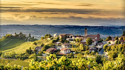 Vinvandring i Piemonte