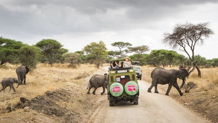 Safari til Serengeti med Zanzibar