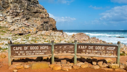 Sør-Afrikas beste – Safari, hvaler og vingårder