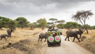 Safari til Serengeti med Zanzibar