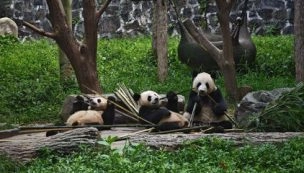 Kinas kystmetropoler og eventyrlandskap